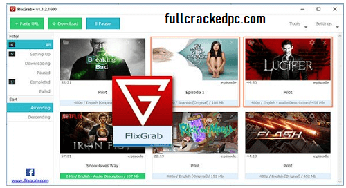 FlixGrab Premium 5.5.6 Crack + License Key Free Download 2024